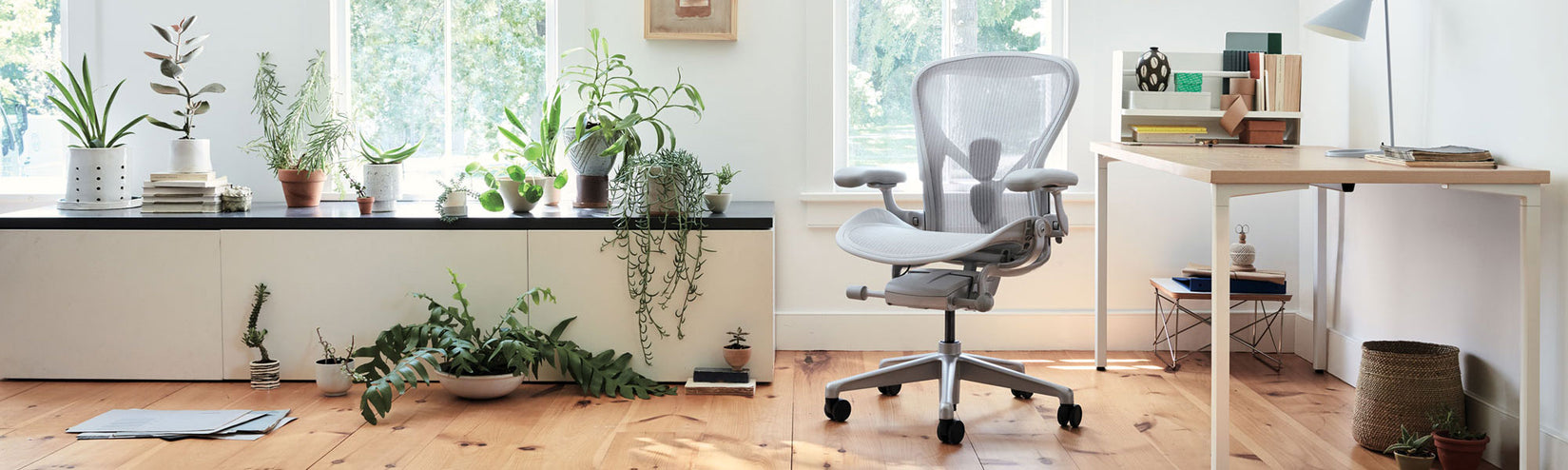 Herman Miller Aeron i mineral med OE1-skrivbord med fast höjd, vit ram och askbordsskiva i ett ljust hemmakontor med många växter