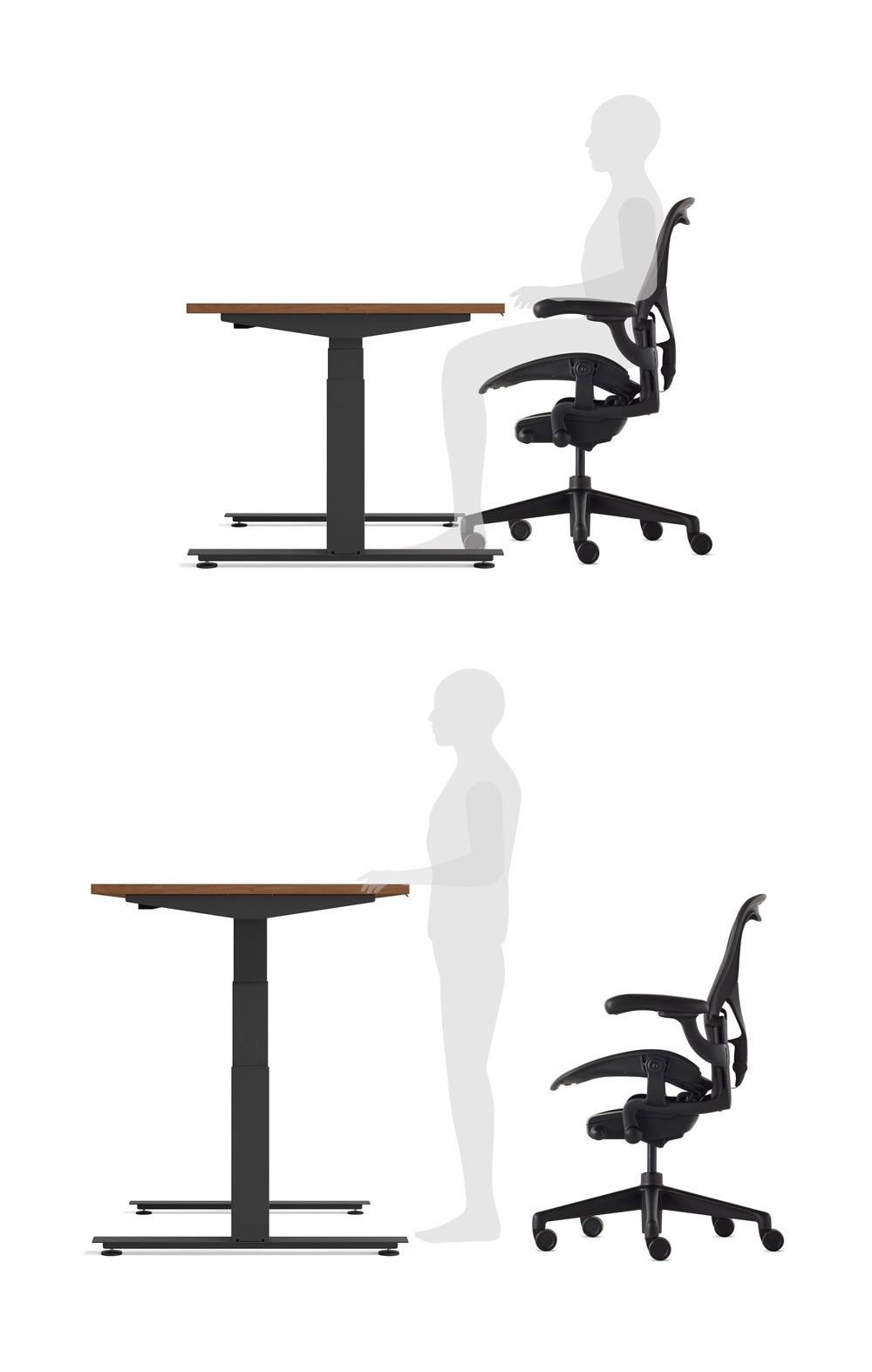 Grafisk bild som visar en person som använder ett Nevi sit-stand-skrivbord i både sittande och stående position