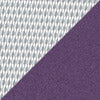 colour_Blazer & Iceberg/Moorlands